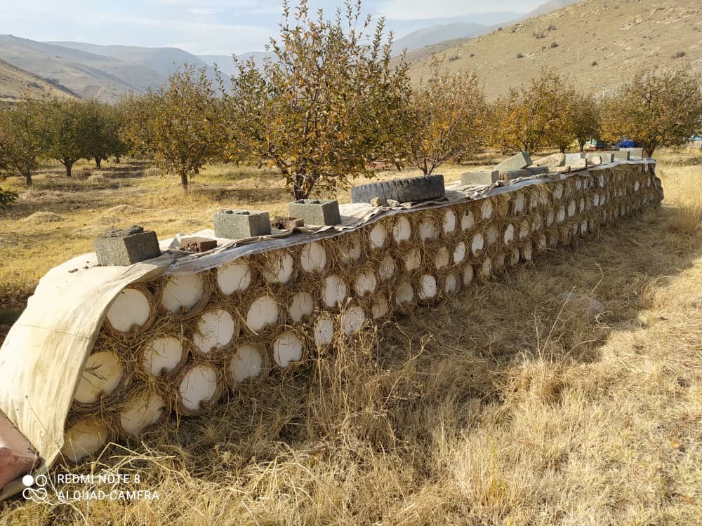 عسل سبد 100 درصد طبیعی کردستان